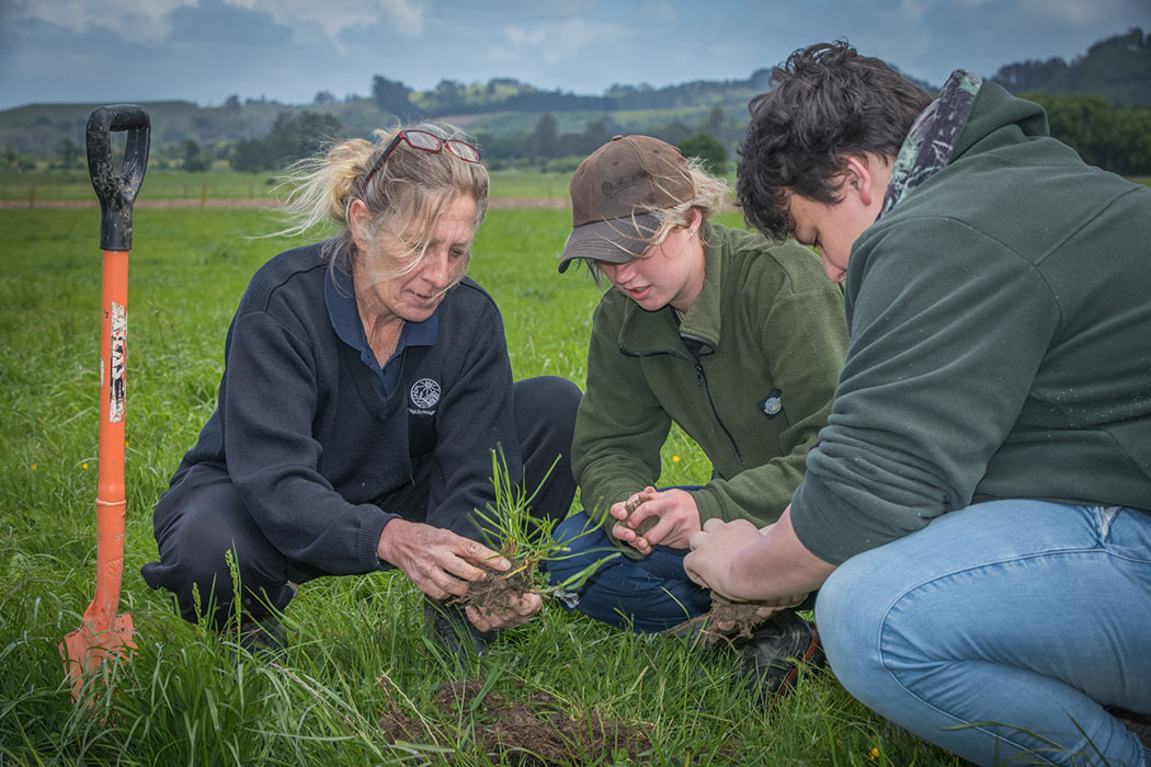 Ag Challenge trainee at work during a hands-on training session