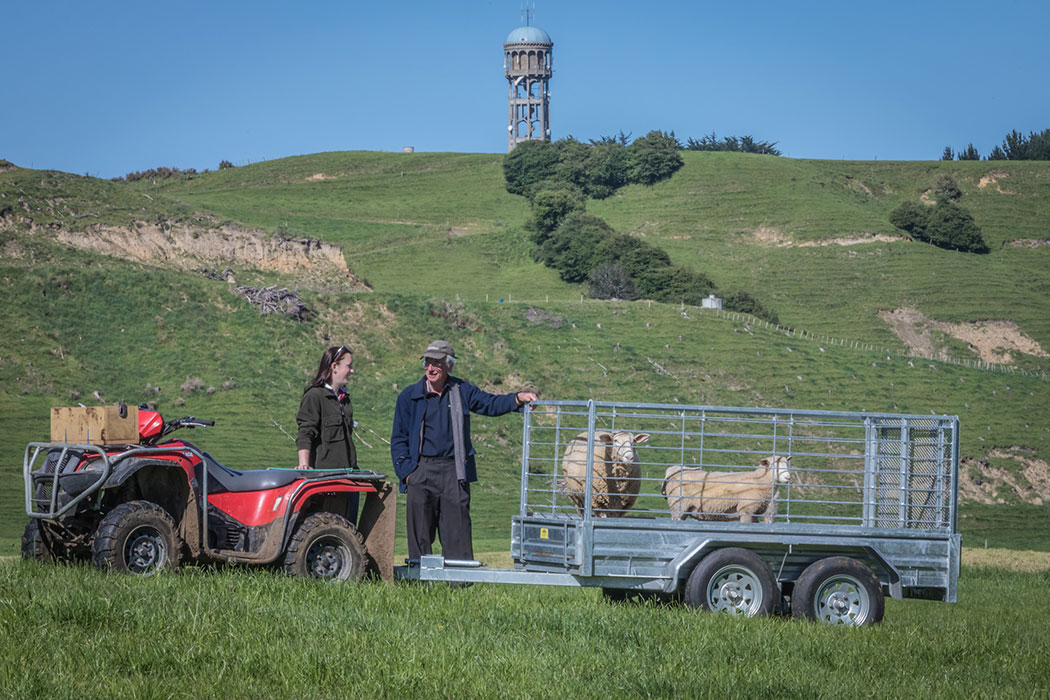 Ag Challenge agriculture students working on a Whanganui farm